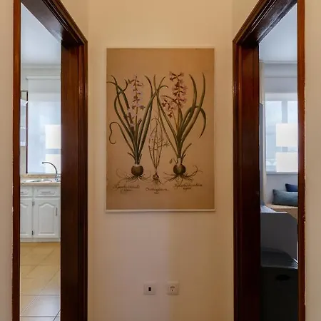 Close To The Ria De Aveiro, Sao Jacinto Apartment *