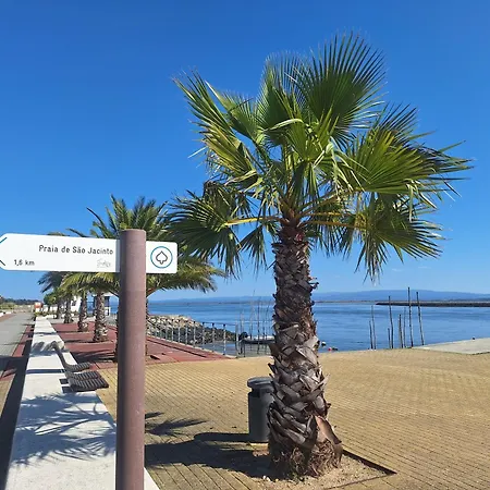 Close To The Ria De Aveiro, Sao Jacinto アパート