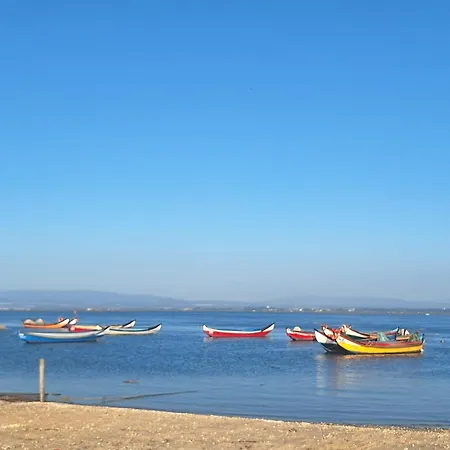 Close To The Ria De Aveiro, Sao Jacinto